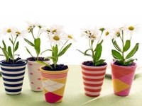 Inside Urban Green Planter Sock Cover